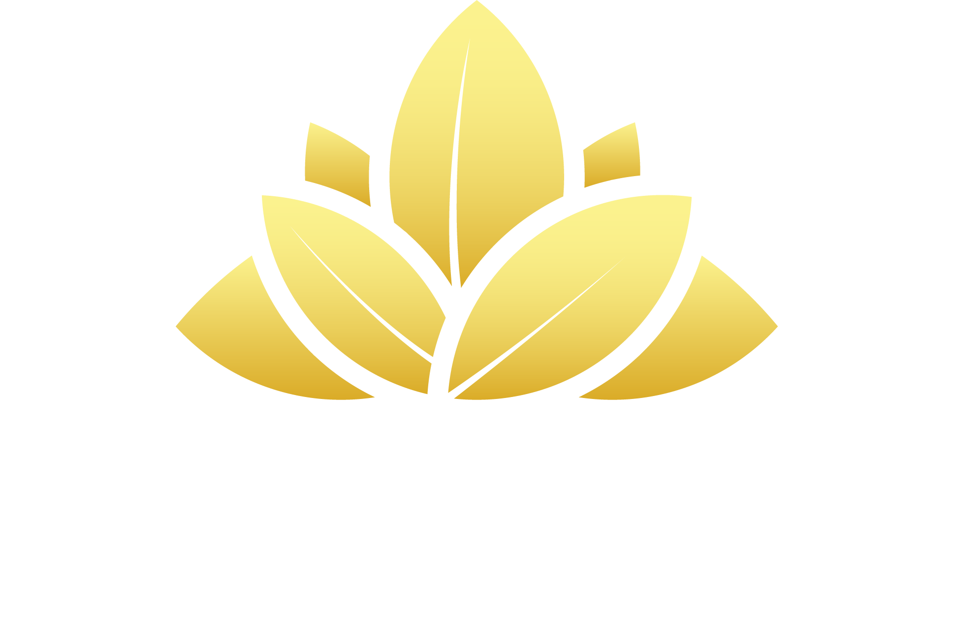 The Mint Salon